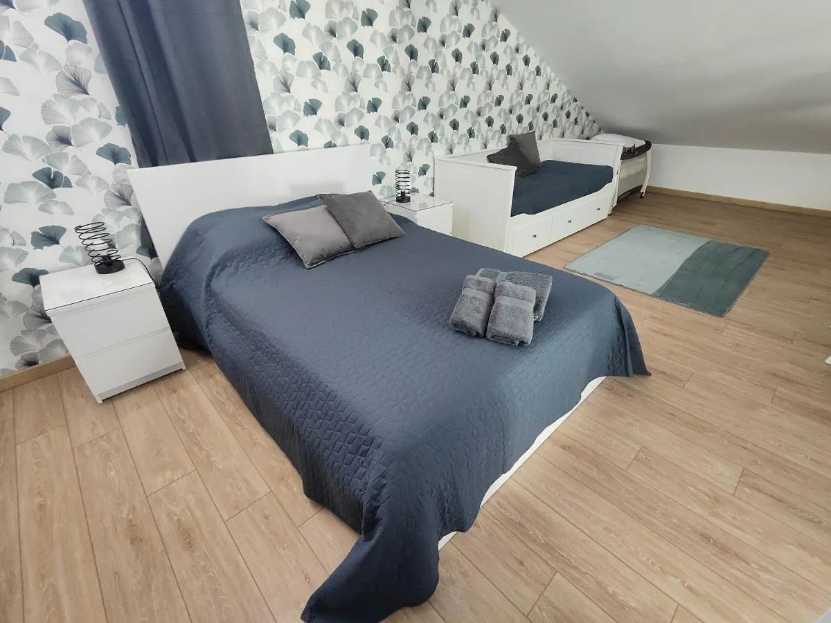 O Loft - 3 Chambres Avec 3 Salles De Bains - Parking - Climatisation Albi Feriehus