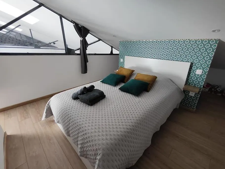 O Loft - 3 Chambres Avec 3 Salles De Bains - Parking - Climatisation Albi Feriehus
